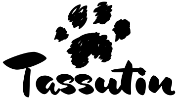 Tassutin Akatemia